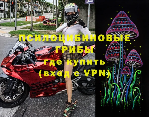 mix Богородицк