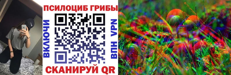 Псилоцибиновые грибы Magic Shrooms  Сланцы 