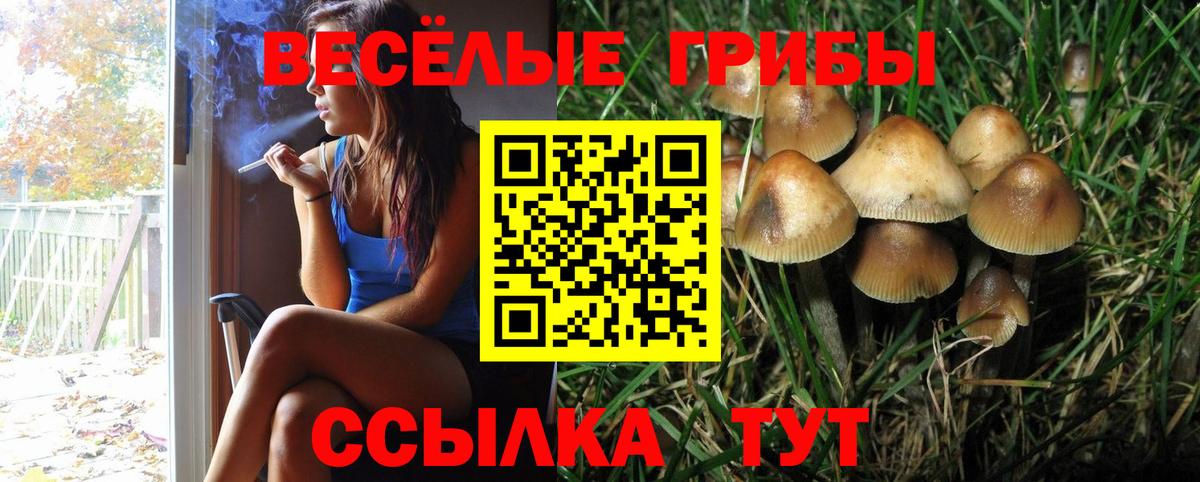 Псилоцибиновые грибы прущие грибы  Псилоцибиновые грибы GOLDEN TEACHER  Вход с VPN  Сланцы 