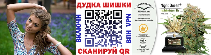 Каннабис OG Kush  Сланцы 